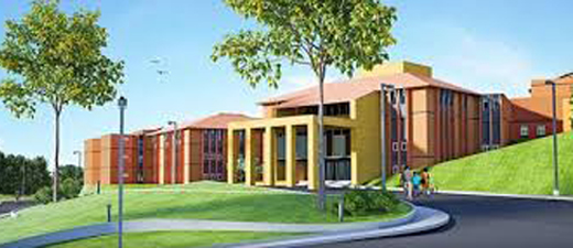 veterinary